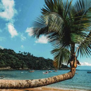 Ilhabela — Bate e Volta